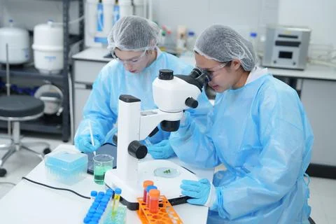 Laboratory Scientists Conducting Research with Microscopes and Samples for Stock Photos