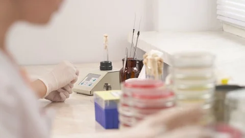 Laboratory scientists performing microbiology testing in laboratory. Stock Footage 108553443