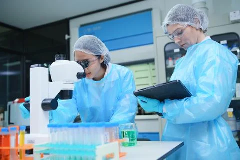 Laboratory Scientists Using Microscope and Tablet for Research Analysis Stock Photos