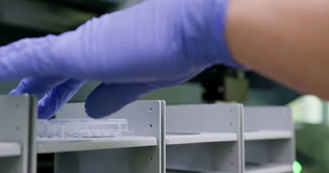 Laboratory setup designed for organized and sample handling. Lab technician Stock Footage 285444602
