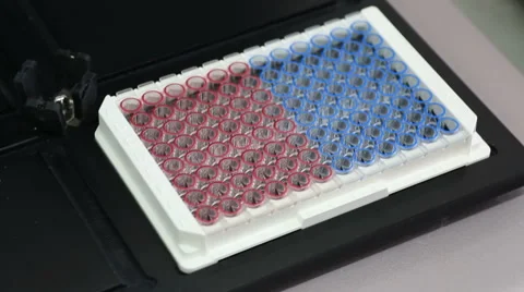 Laboratory shaker thermostatted to create rotational fluid motion and maintain Stock Footage 61168969