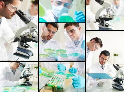 Laboratory studies 스톡 사진