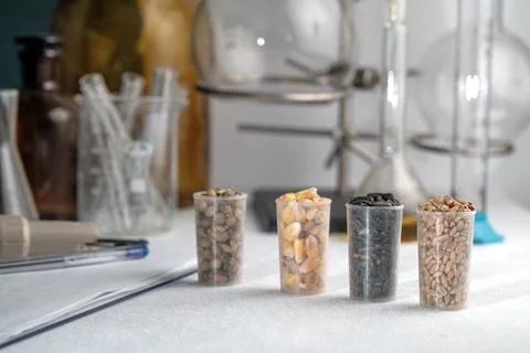 Laboratory studies of seeds. Studies on the analysis of agricultural grains.. Stock-Fotos