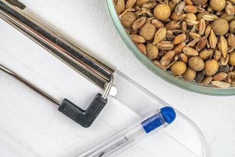 Laboratory studies of seeds. Studies on the analysis of agricultural grains.. Stock Photos
