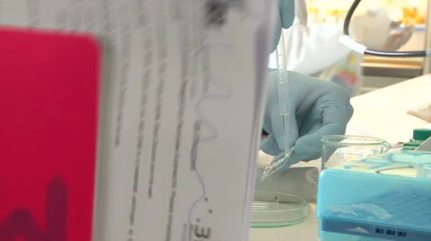 Laboratory study biomaterials. Stock Footage 62561020