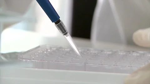 Laboratory study biomaterials. Stock Footage 62562048