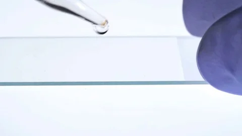 In the laboratory study a sample of fluid Stock Footage 74651517