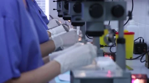 Laboratory. Studying under microscope Stock Footage 50801715
