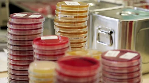 Laboratory Stuff 動画素材 31548853