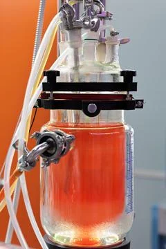 Laboratory tangential flow filtration system Stock Photos