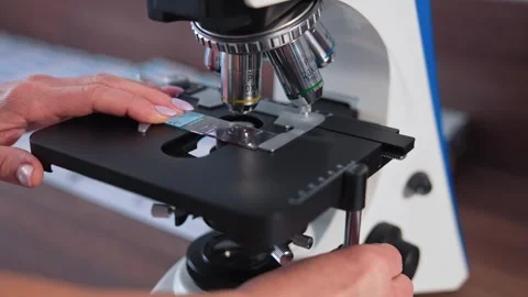 Laboratory technician adjusting microscope slide for medical analysis in cl.. Stock Footage 337527213