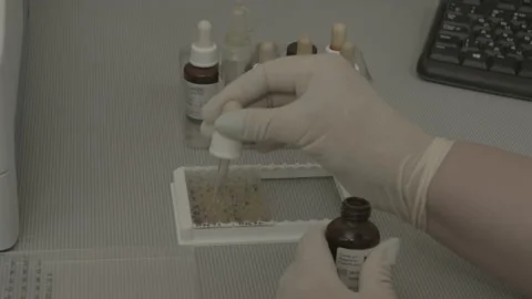 Laboratory Technician Analyzing Samples Under Microscope Lab03 31 Stock Footage 143161360