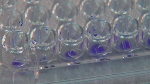 Laboratory Technician Applying Samples to Tiny Test Tube Receptacles Stock Footage 60811547