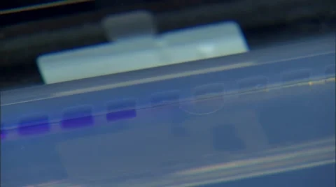 Laboratory Technician Applying Virus Sample to Test Strip Stock Footage 60811519