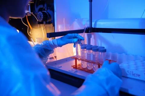 Laboratory technician conducting tests with test tubes in a chemistry lab Stock Photos