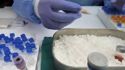 Laboratory technician cools coronavirus samples in support for analysis in a hos Stock Footage 128355629
