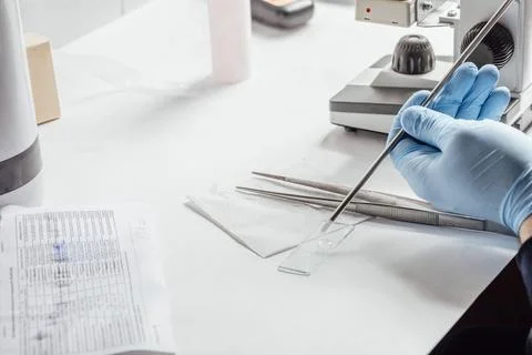Laboratory technician engaged in setting up experiment, indicative of ongoing Stock Photos