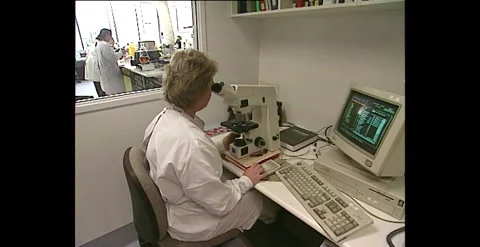 Laboratory Technician Looking Through Microscope (1990s) Stock Footage 310930419