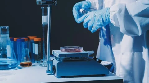 A laboratory technician makes microscopic bacteriological examination with .. Stock Footage 336485586