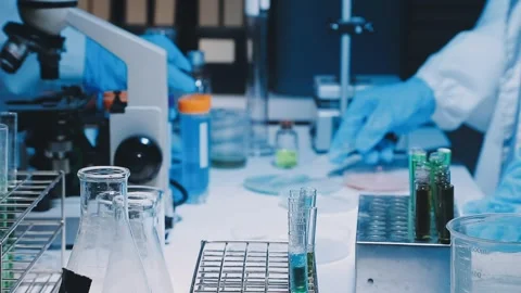 A laboratory technician makes microscopic bacteriological examination with .. Stock Footage 336485608