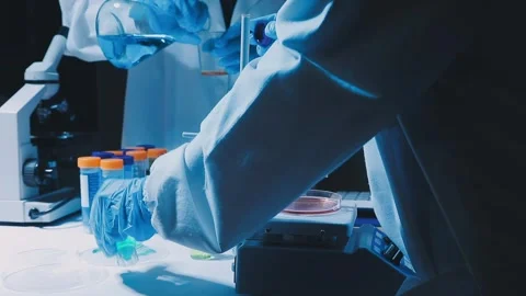 A laboratory technician makes microscopic bacteriological examination with .. Stock Footage 336485609