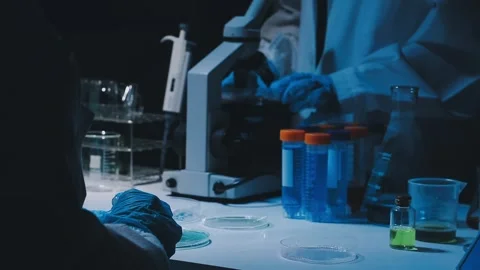 A laboratory technician makes microscopic bacteriological examination with .. Stock Footage 336485661