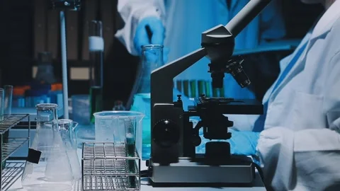 A laboratory technician makes microscopic bacteriological examination with .. Stock Footage 336485719