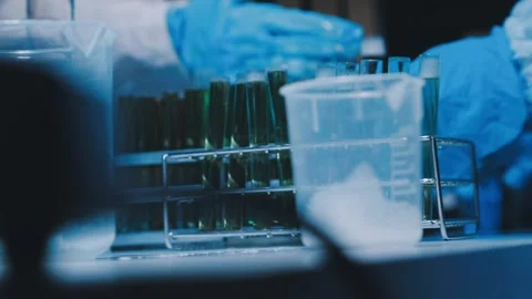 A laboratory technician makes microscopic bacteriological examination with .. Stock Footage 336485779