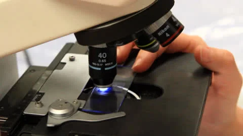 Laboratory technician with a microscope Stock-Footage 25593439