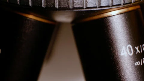 The laboratory technician switches the microscope objectives on the turret. High Stock Footage 261592554