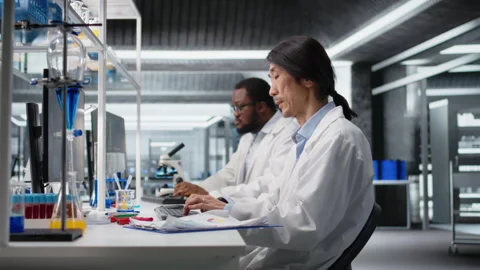 Laboratory technician uses computer app, doing research into human health Stock Footage 320145895