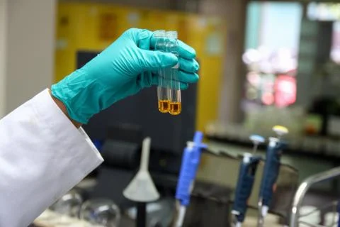 Laboratory technician at the work Stock-Fotos