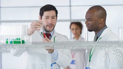 Laboratory technicians checking red chemical solution in test tube in lab Stock Footage 107851874