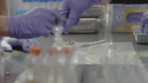 Laboratory technicians working in the laboratory Vídeos de archivo 67553910