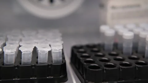 Laboratory test tubes arranged in a black rack inside a cold storage unit, Stock Footage 329102661