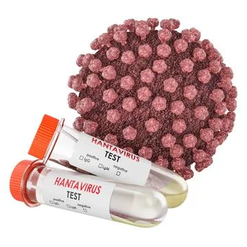 Laboratory Test Tubes for Hantavirus Testing with Viral Particle, 3D Renderin Stock Illustration