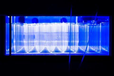 Laboratory test tubes Stock Photos