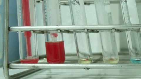 Laboratory testing blood group. Stock Footage 91738382
