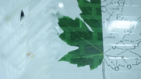 Laboratory testing of chemical reagents. Stock Footage 127778529