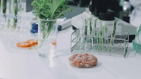 Laboratory testing of different food products. Selective focus.. 库存影片 319817033