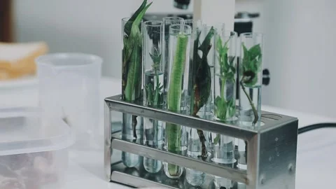 Laboratory testing of different food products. Selective focus.. Stock Footage 319817172