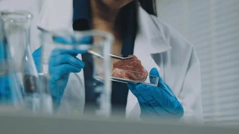 Laboratory testing of different food products. Selective focus.. Stock Footage 319817210
