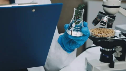 Laboratory testing of different food products. Selective focus.. Stock Footage 319817216