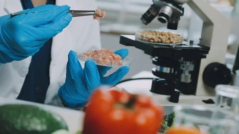 Laboratory testing of different food products. Selective focus.. Stock Footage 319817219