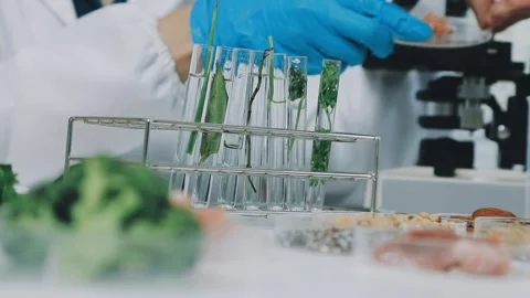 Laboratory testing of different food products. Selective focus.. Stock Footage 319817237