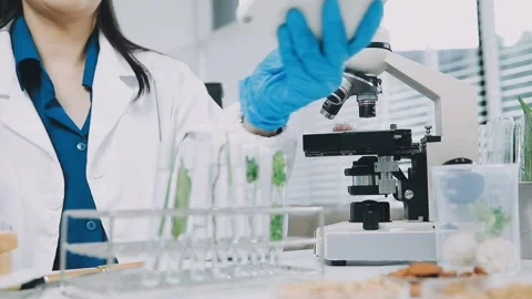 Laboratory testing of different food products. Selective focus.. Stock Footage 319817256
