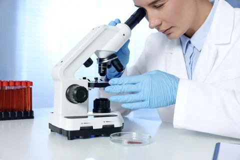 Laboratory testing. Doctor working with microscope at table indoors Stock Photos