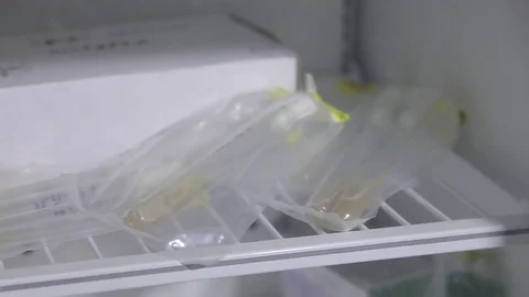 Laboratory for testing the quality of Video stock 80638303