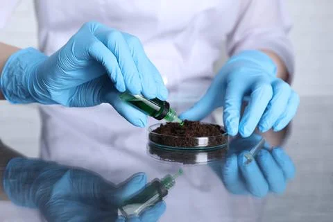 Laboratory testing. Scientist dripping liquid onto soil sample at table ind.. Stock Photos