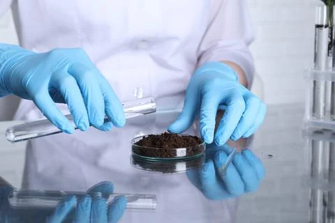 Laboratory testing. Scientist pouring liquid onto soil sample at table indo.. Stock Photos